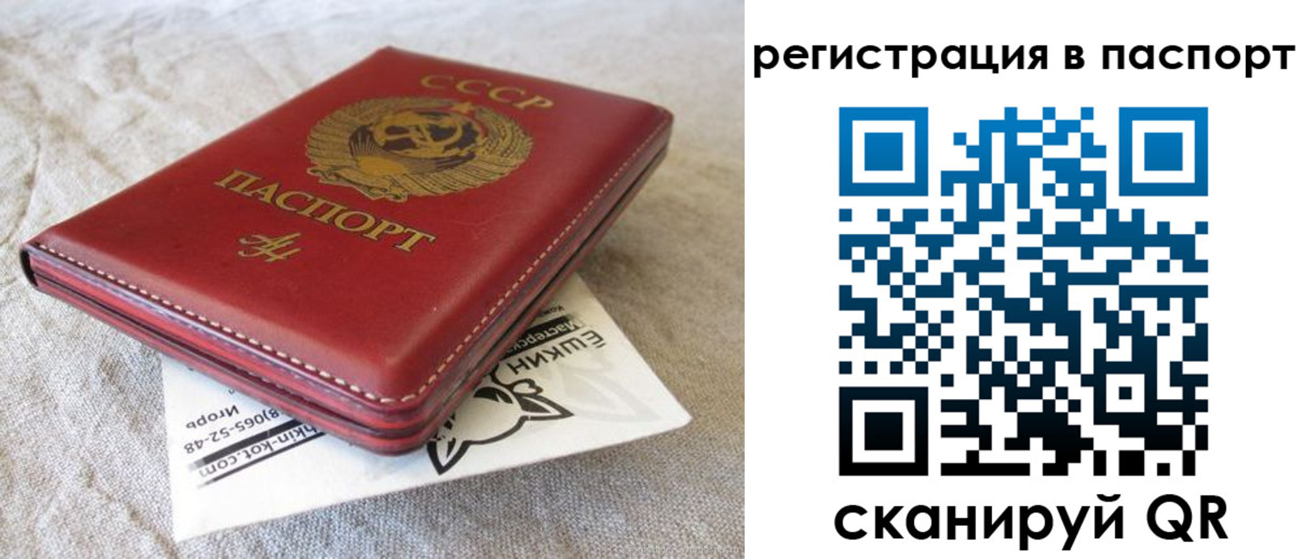 где прописаться в Сосновке